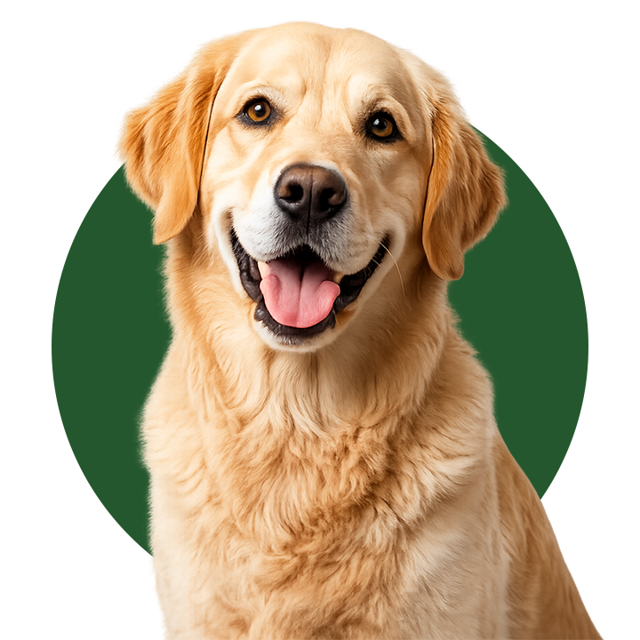 Banner de contacto de Clínica Veterinaria Ganapanes, veterinario en Madrid